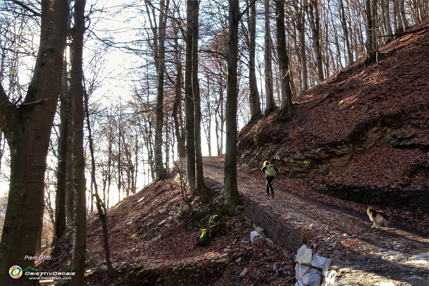 23 Strada sterrata in saliscendi poi nel  bosco di faggeta.JPG